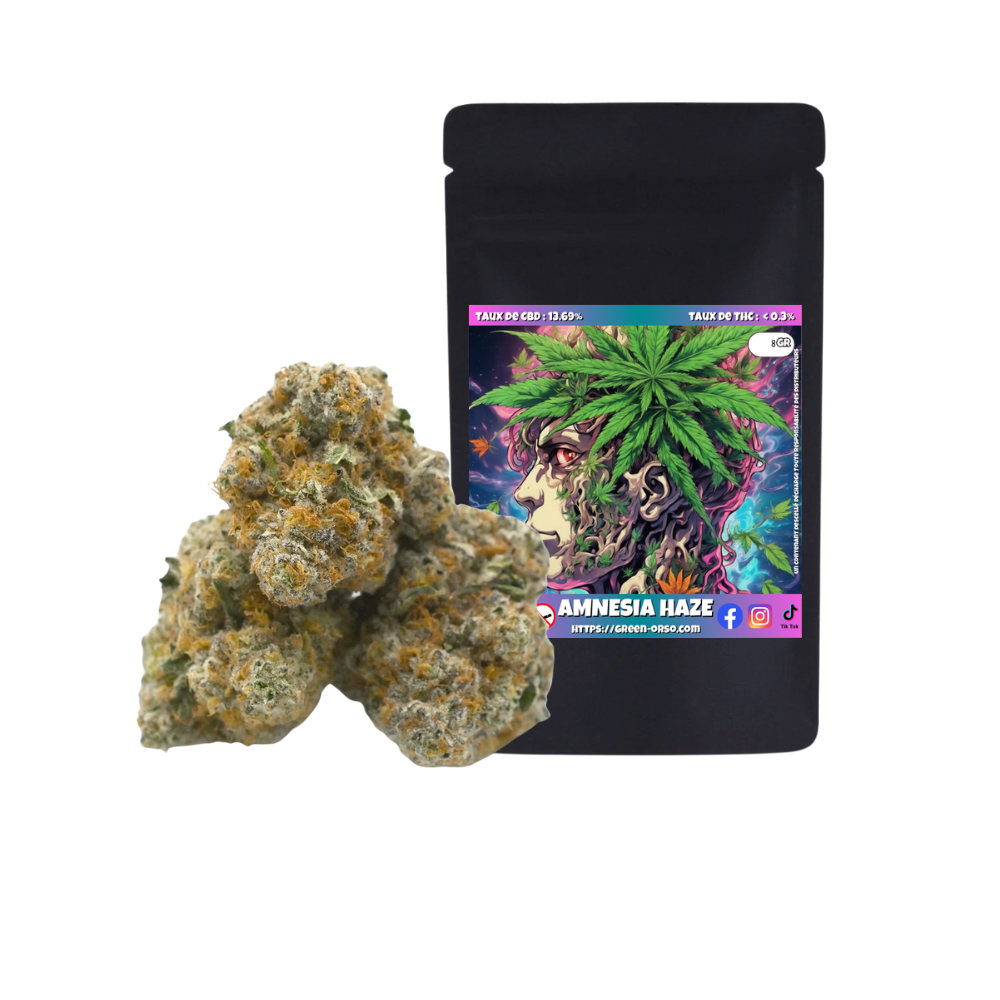 Small bud Amnesia Haze Hydroponie