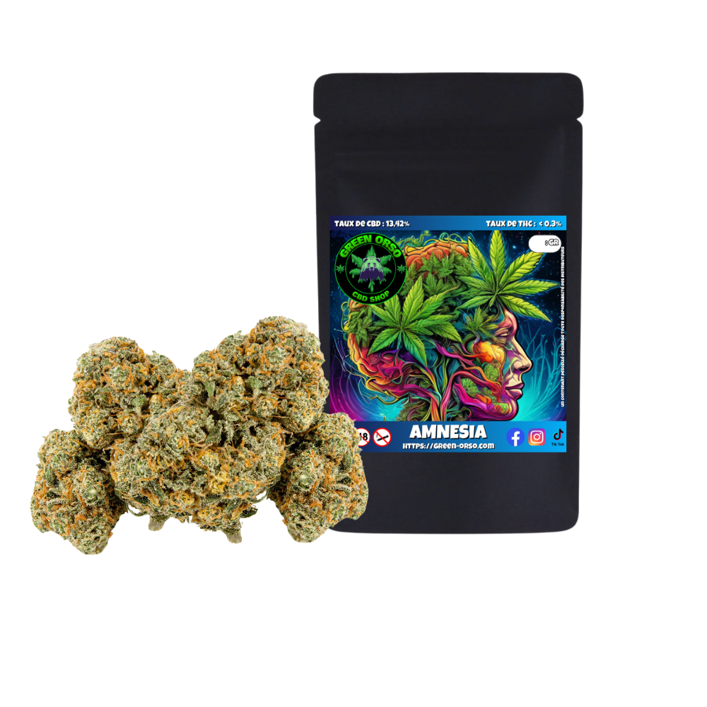 Small bud Amnesia Hydroponie – Green orso