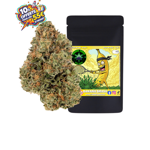 Banana Smash Indoor - Green orso