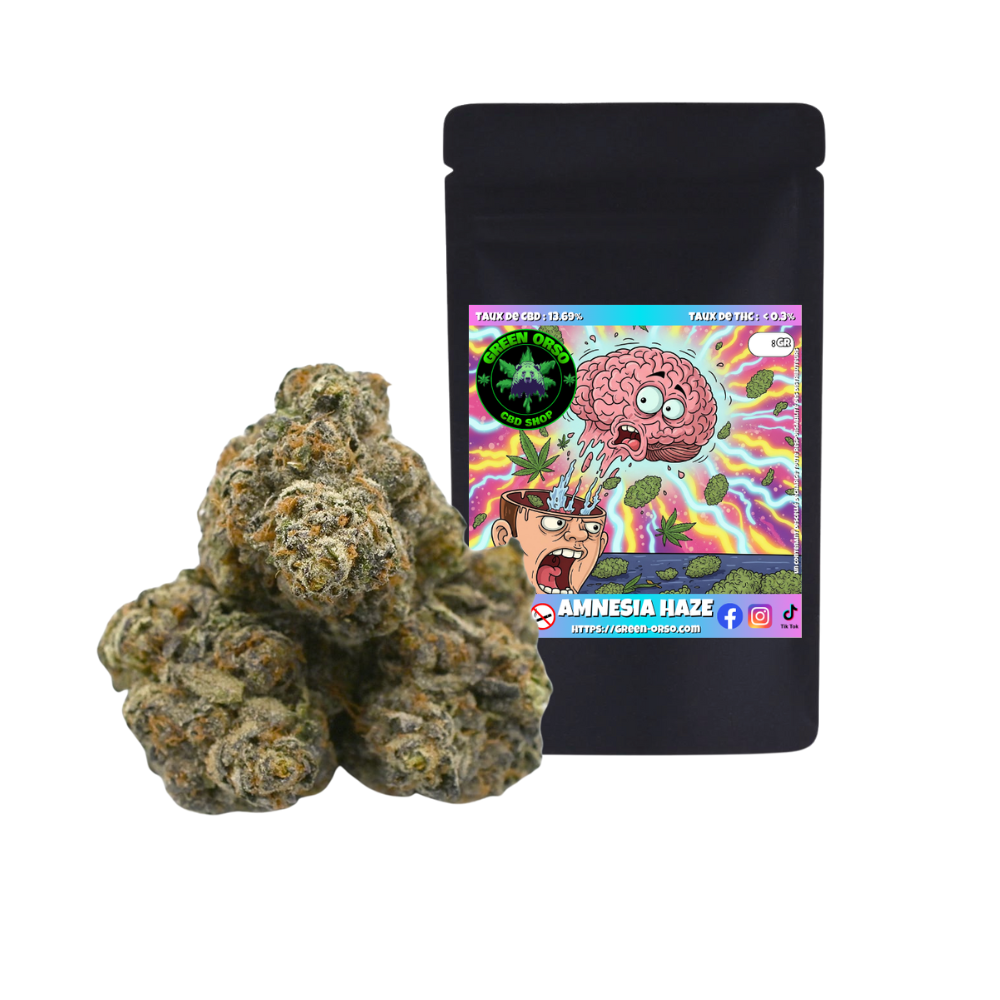 Small bud Amnesia Haze Hydroponie - Green orso