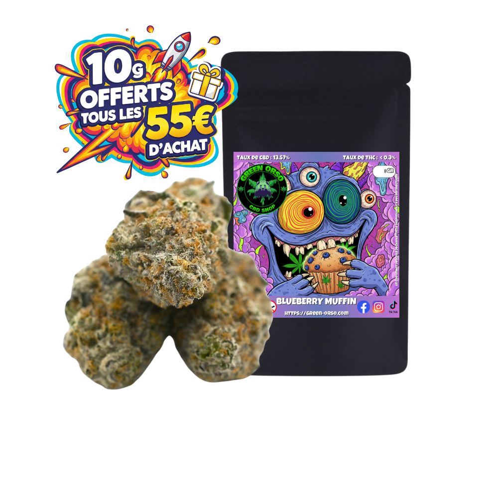 Small Bud Blueberry Muffin Hydroponie CBD Green Orso – fleur 13,57% CBD hydroponie Suisse arômes myrtille fraîche muffin sucré – Montpellier