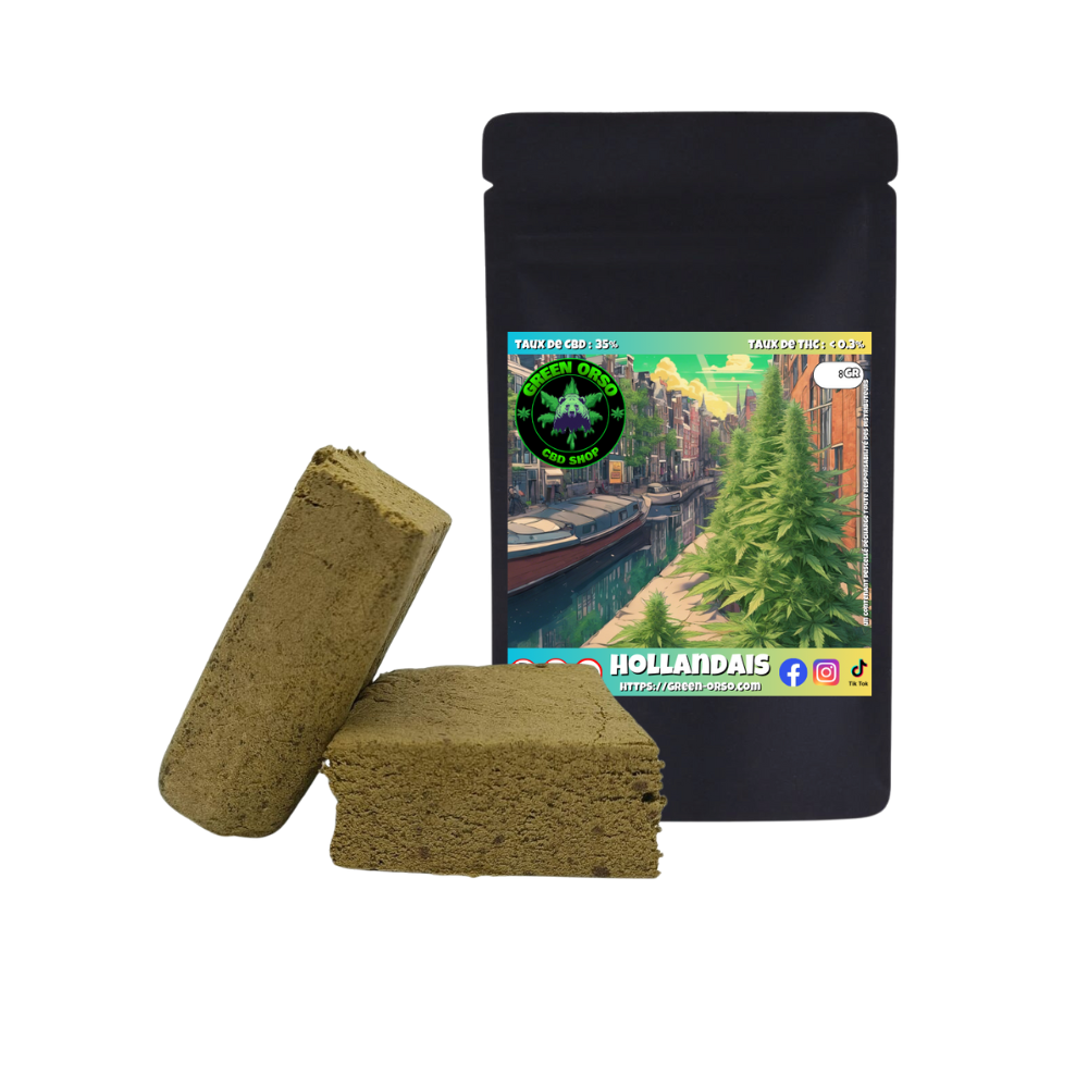 Hollandais - Green orso