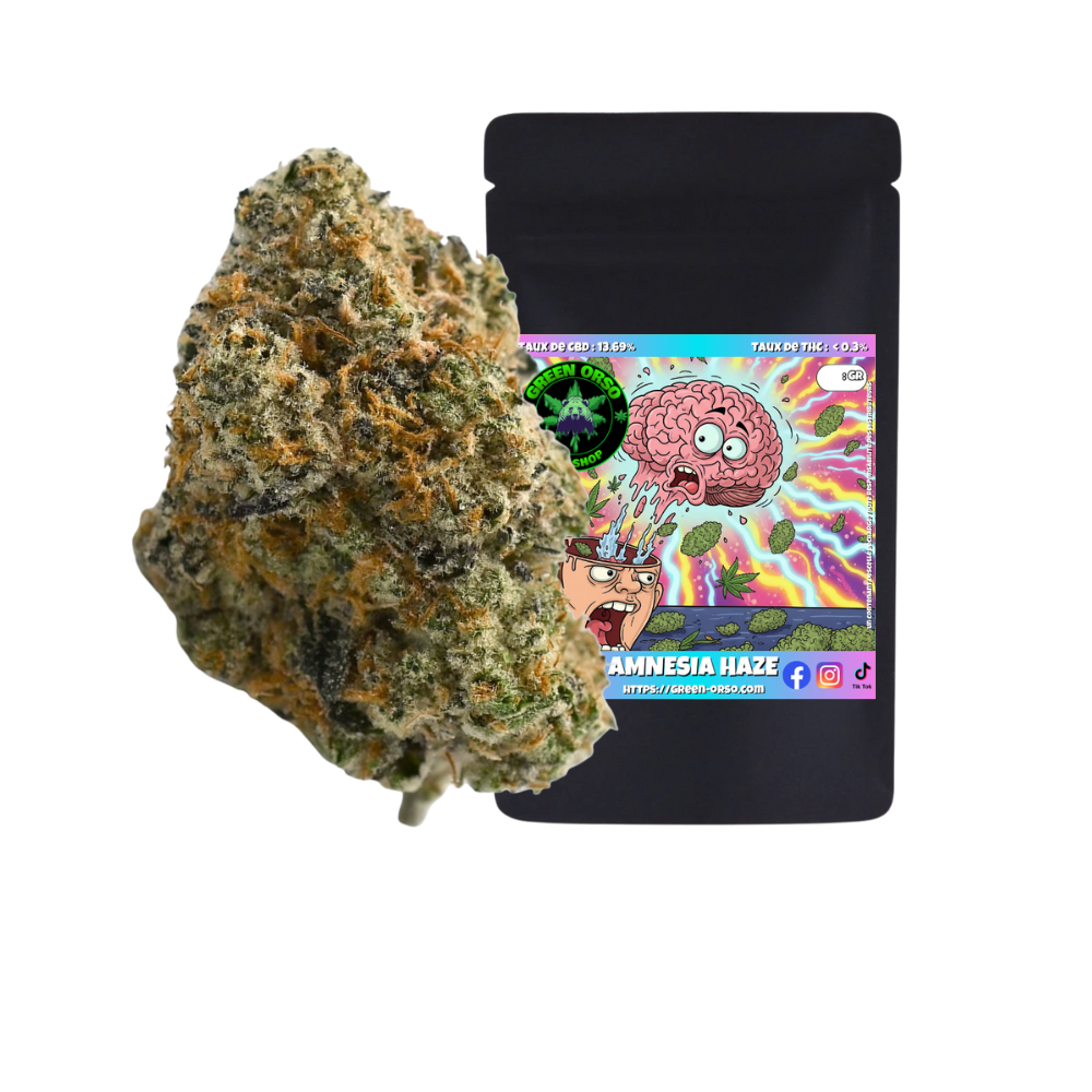 Medium bud Amnesia Haze Hydroponie - Green orso