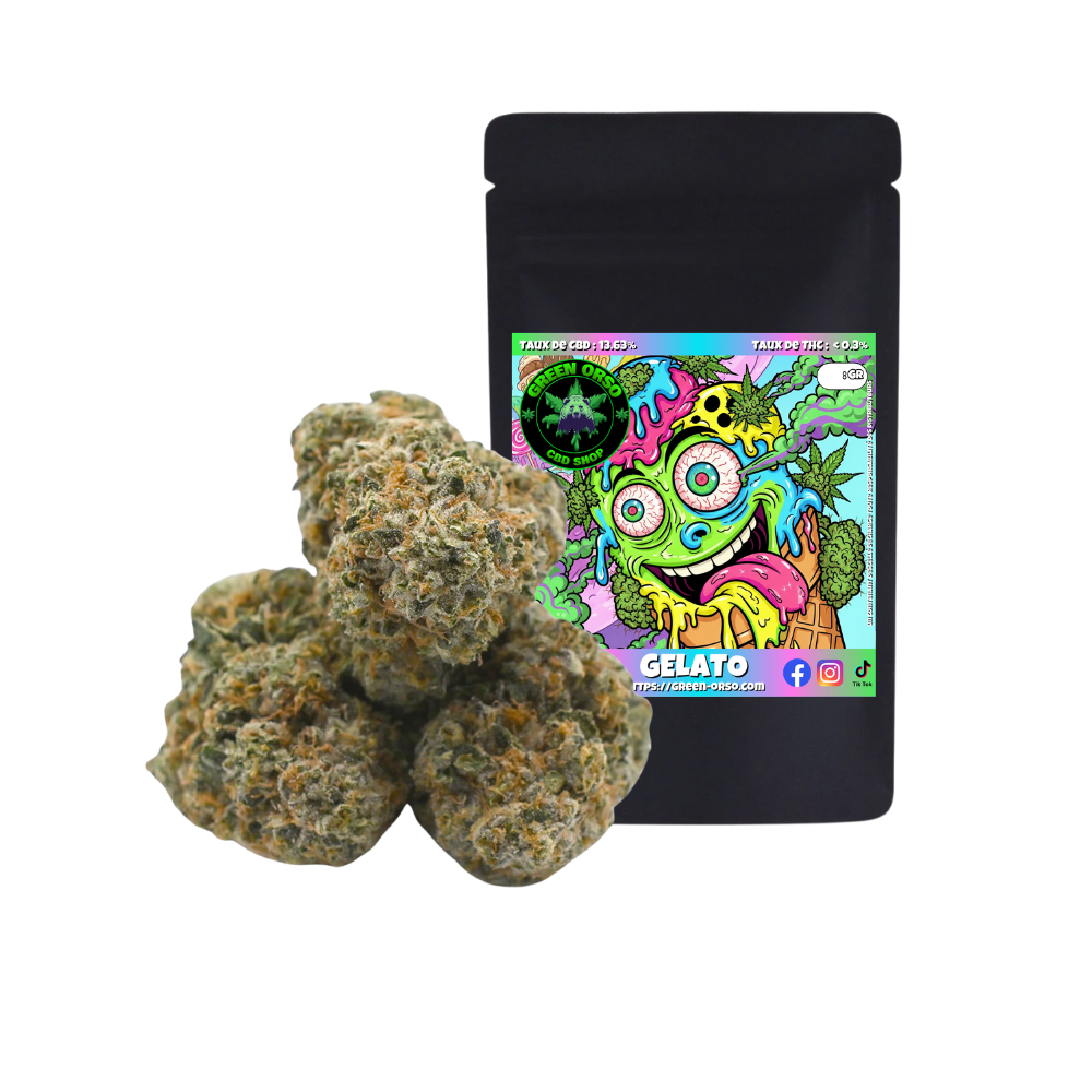 Small bud Gelato Hydroponie - Green orso