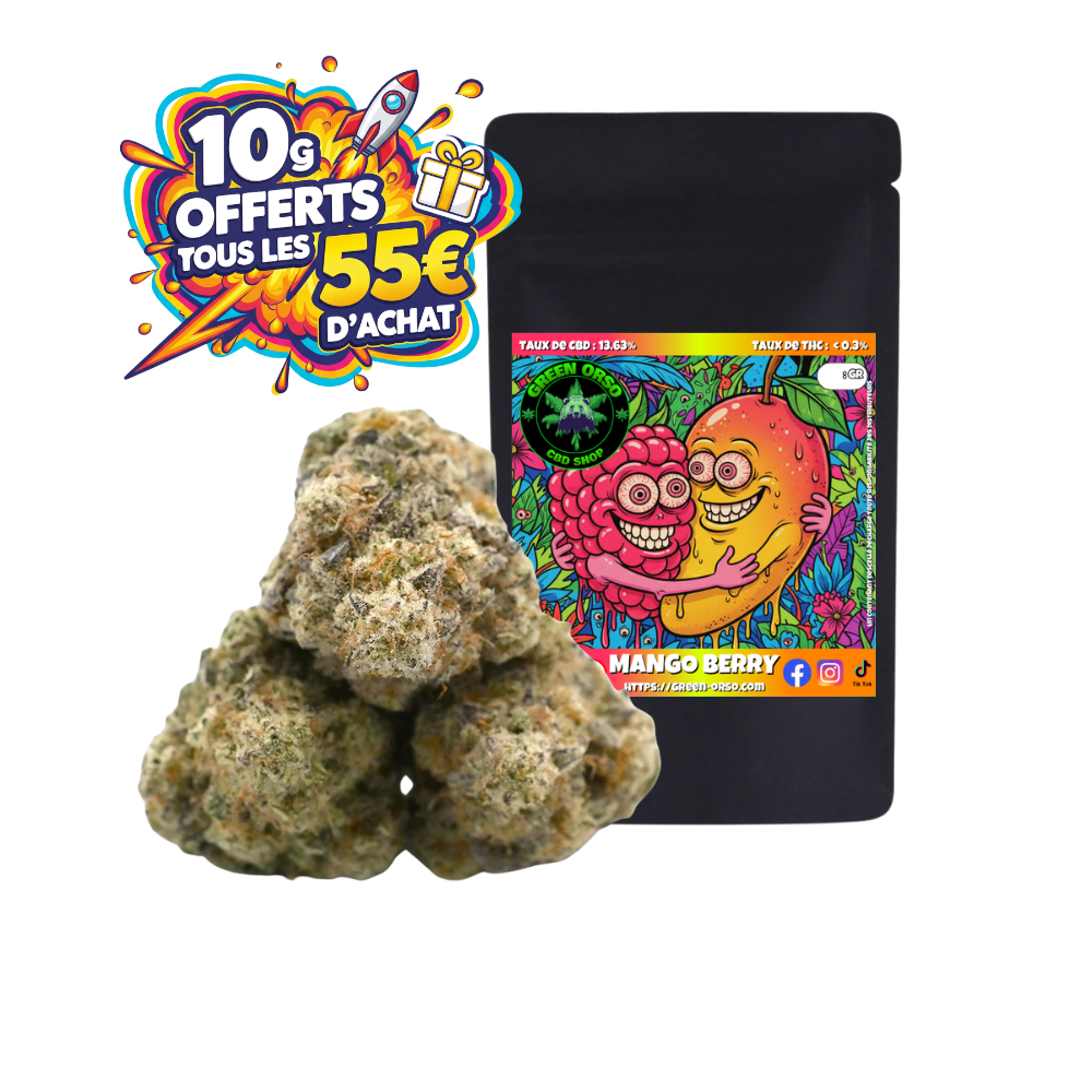 Small bud Mango Berry Hydroponie - Green orso