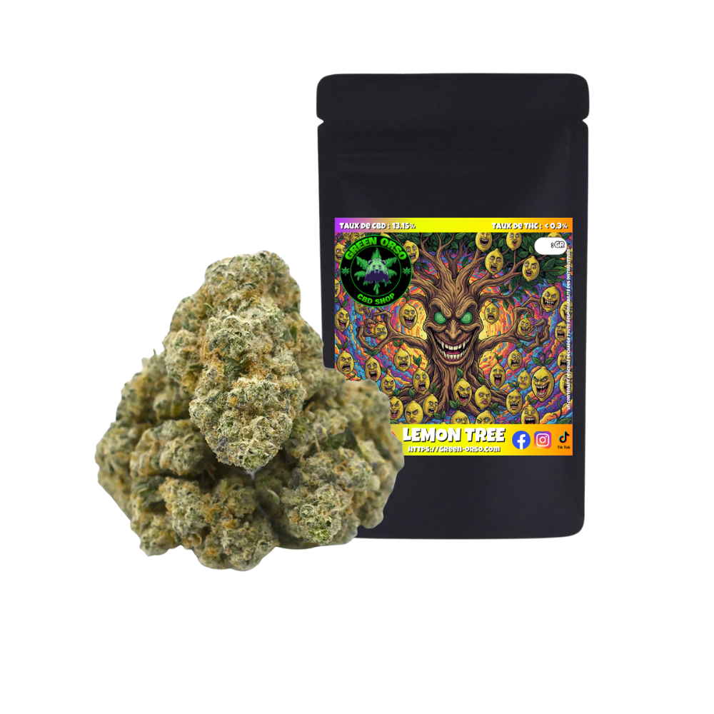 Small bud Lemon Tree Hydroponie - Green orso