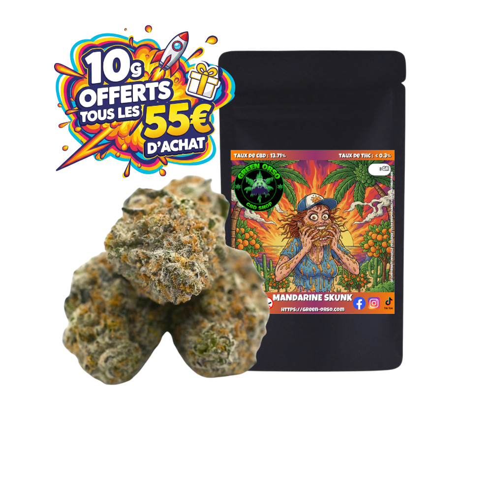 Small bud Mandarine Skunk Hydroponie