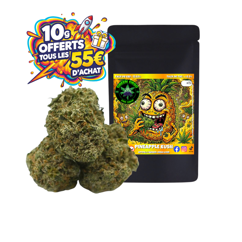 Small bud Pineapple Kush Hydroponie