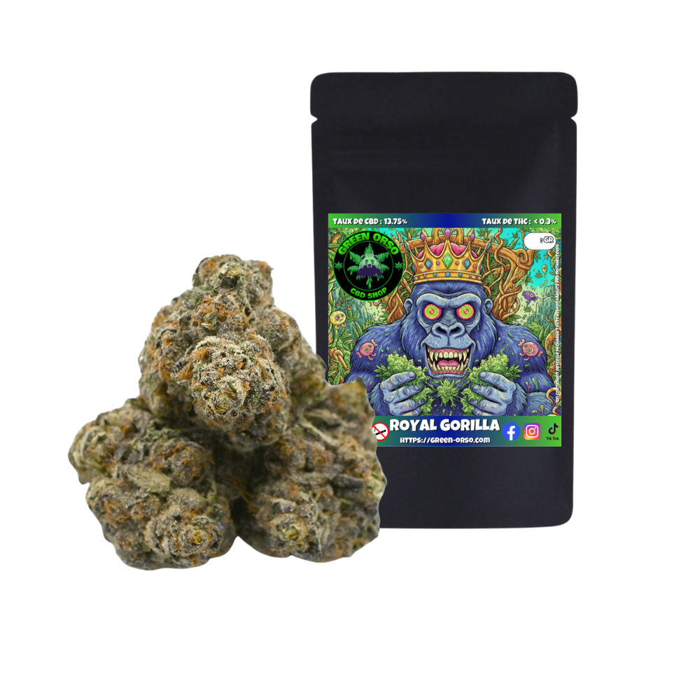 Small bud Royal Gorilla Hydroponie