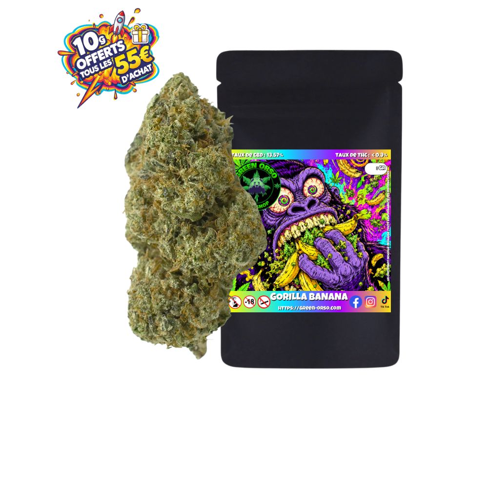 Gorilla Banana CBD fleur indoor italienne premium
