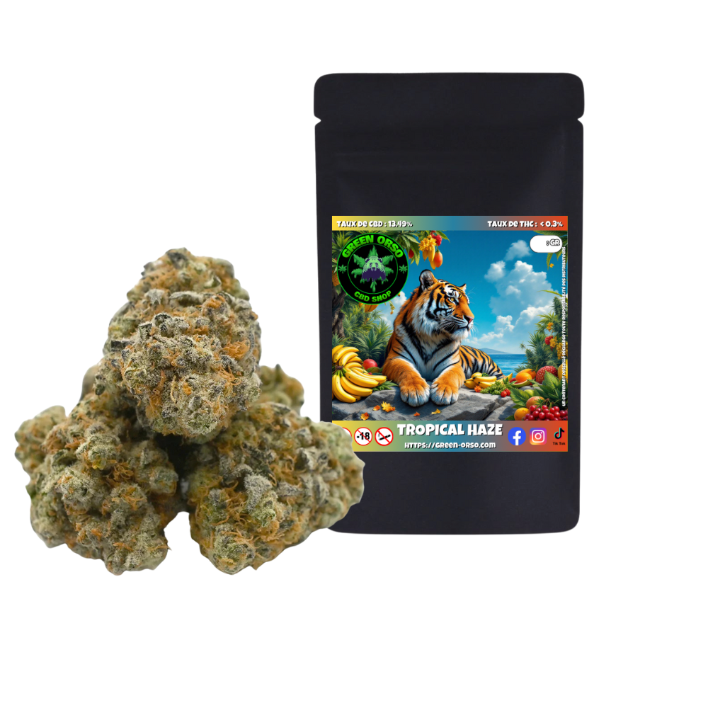 Small Bud Tropical Haze CBD hydroponie — fleurs popcorn Green Orso
