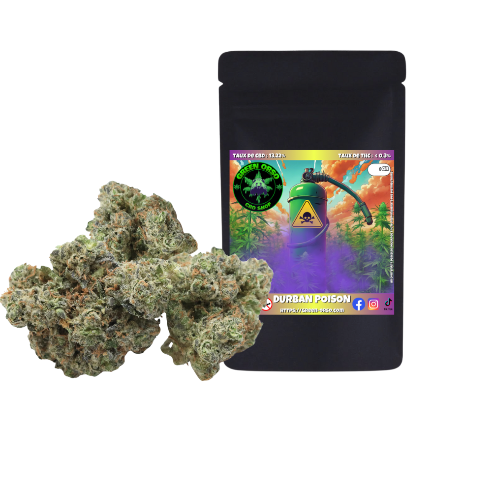 Small Bud Durban Poison Hydroponie CBD Green Orso – fleur 13,22% CBD hydroponie Suisse arômes pin frais agrumes mûrs réglisse Sativa Afrique du Sud – Mauguio Montpellier