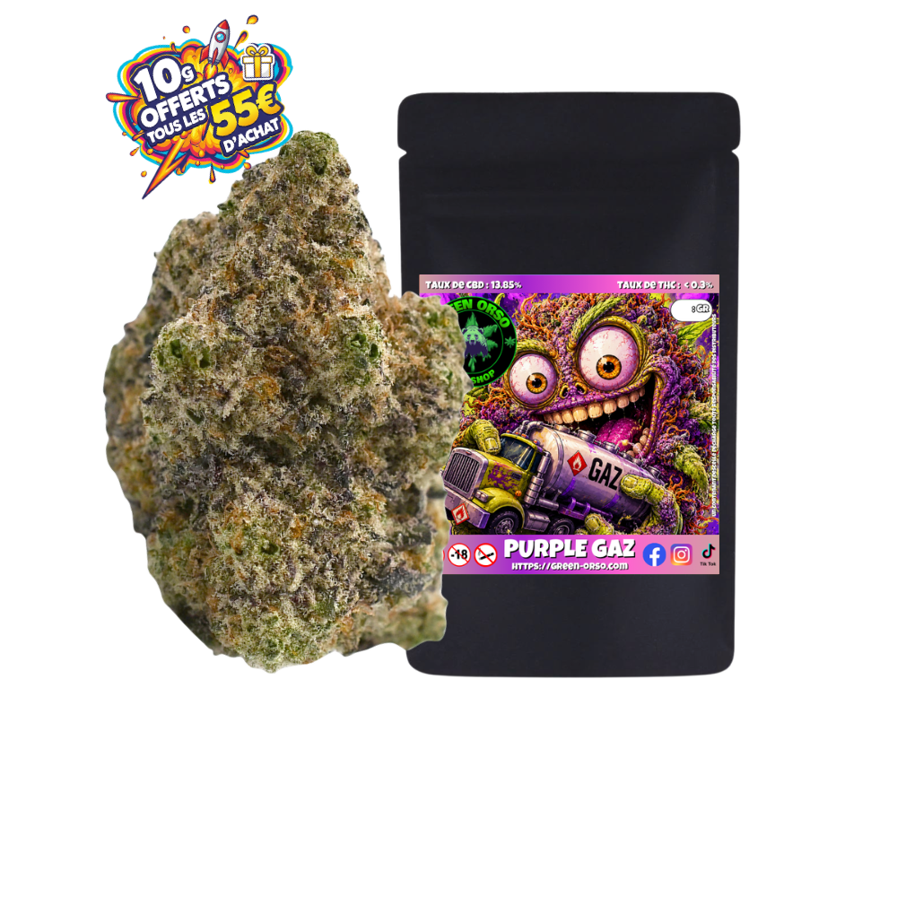 Medium bud Purple Gaz Hydroponie
