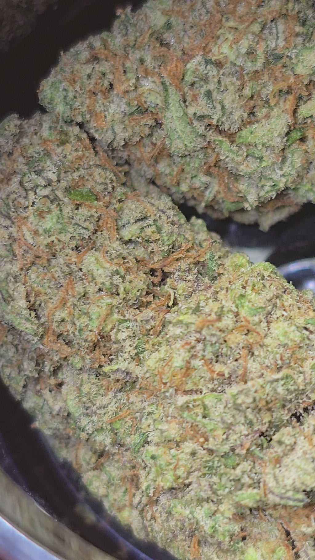Cosmic Cookies DC10
