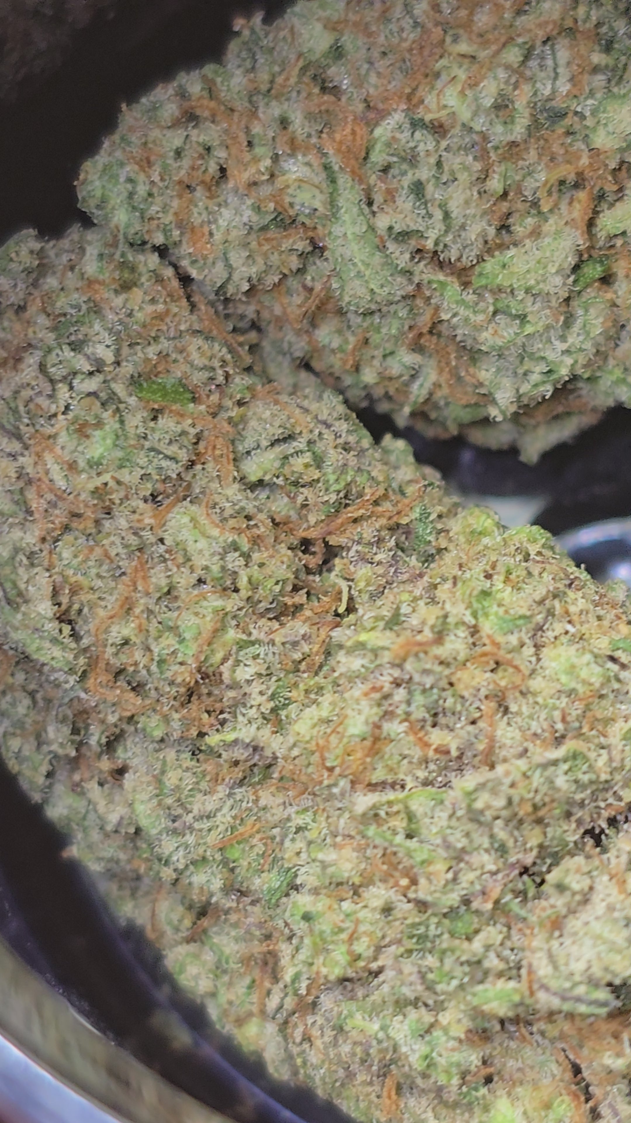 Cosmic Cookies DC10